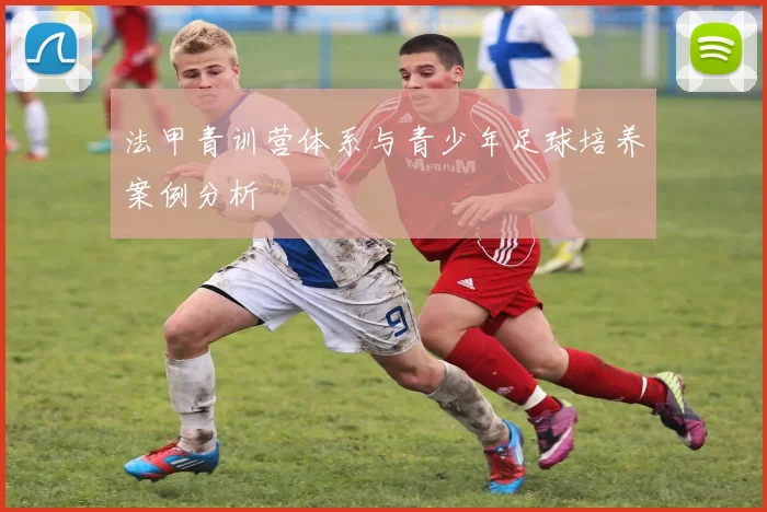 法甲青训营体系与青少年足球培养案例分析