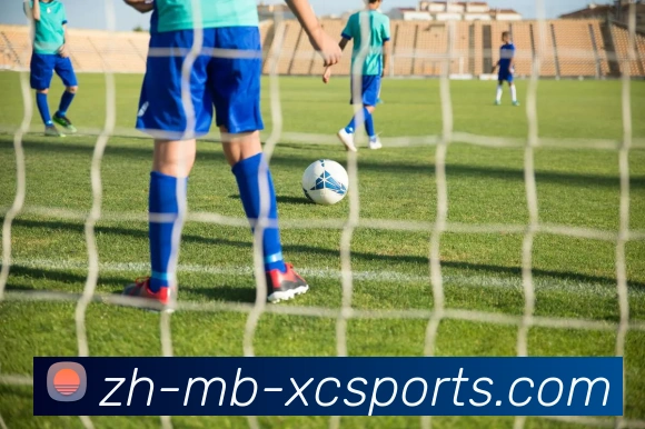 杏彩体育发展历程